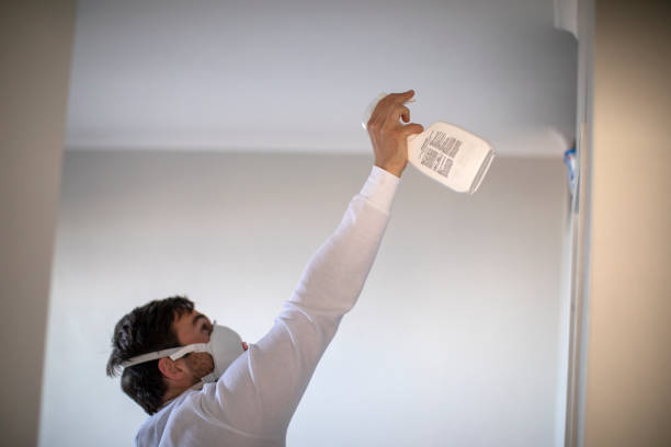 Best Residential Mold Remediation in Trinity, AL