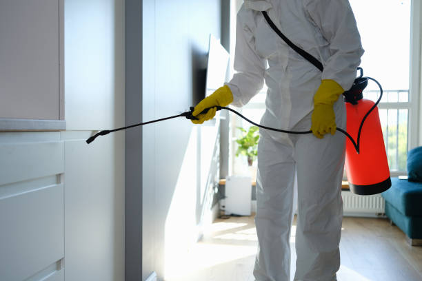 Best Industrial Mold Remediation in Trinity, AL